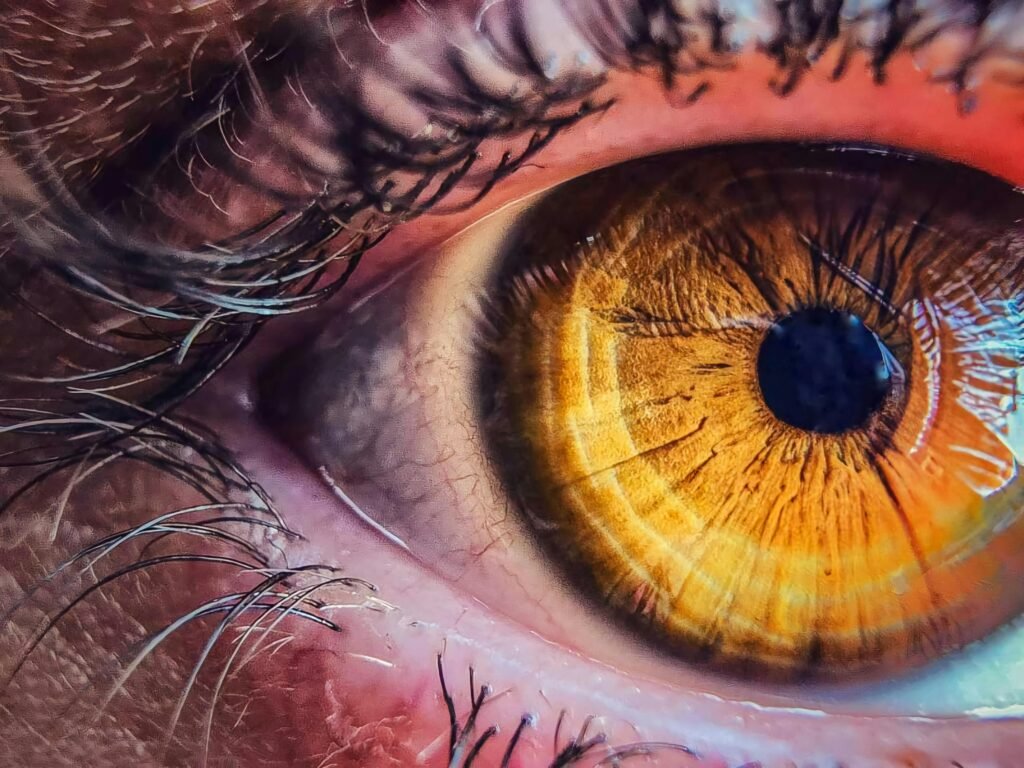 Detailed close-up image of a human eye showcasing brown iris with eyelashes. Perfect for health, vision and anatomy concepts.